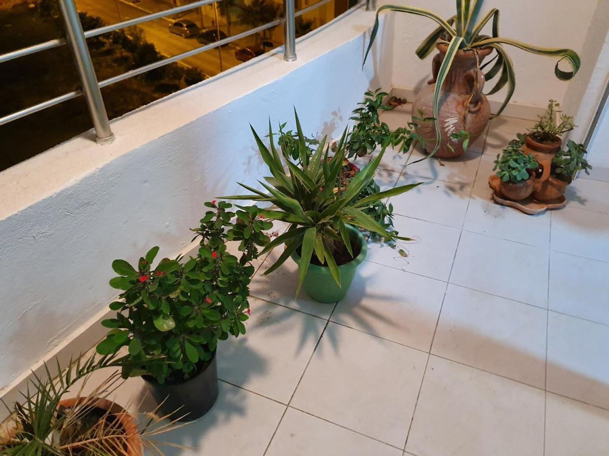 Appartement S+1 Jardin De Carthage ตูนิส ภายนอก รูปภาพ